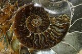 Wide Polished Fossil Ammonite Dish - Inlaid Ammonite #137409-1